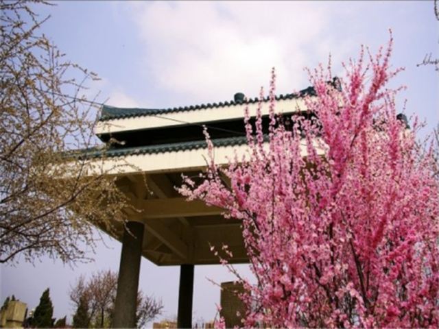 呼和浩特市植物园旅行图片 2