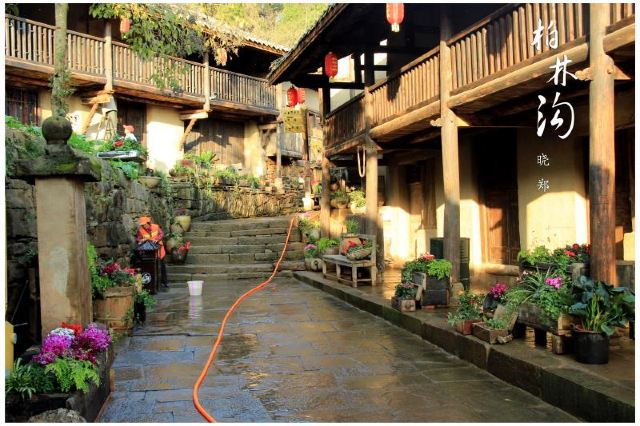 柏林湖国家湿地公园旅行图片 2