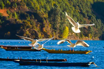 四川泸沽湖