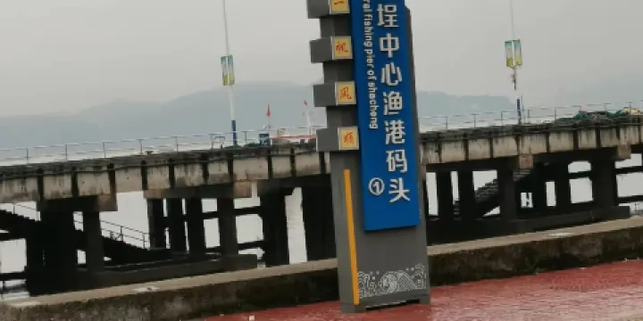 沙埕港