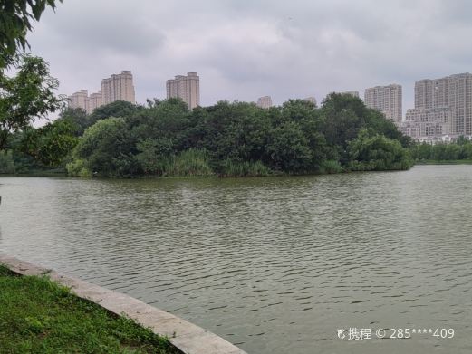 涟漪湖黄嘴白鹭省级自然保护区