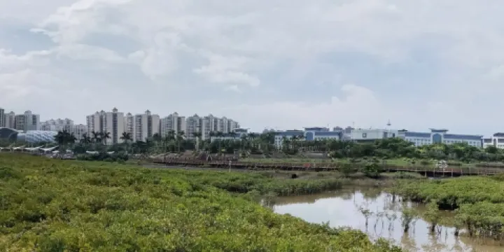中越青年友誼林
