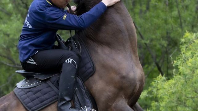 长白山云顶马术骑马场