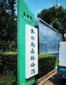 长白岛森林公园-沈阳-小鱼的小姑凉