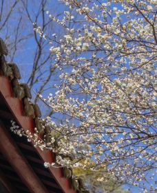 白鹿洞书院-庐山