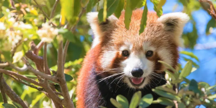西姆比歐野生動物園