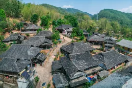 4-Day Pu'er Tour: Ailaoshan's forest retreat, Tea Horse Ancient Road culture
