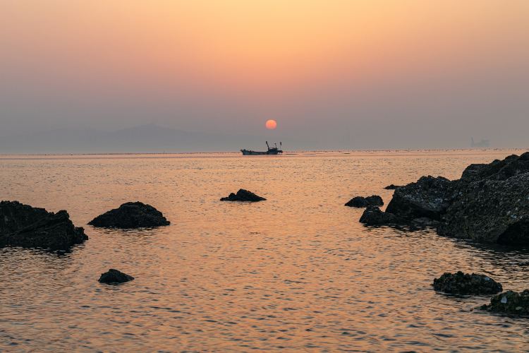 莲花夕照