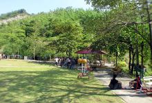 Long Mu Jing Farm景点图片