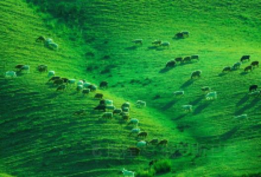 佛山公园待甫僧景区景点图片