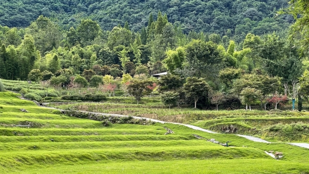 峨山大坪餐厅