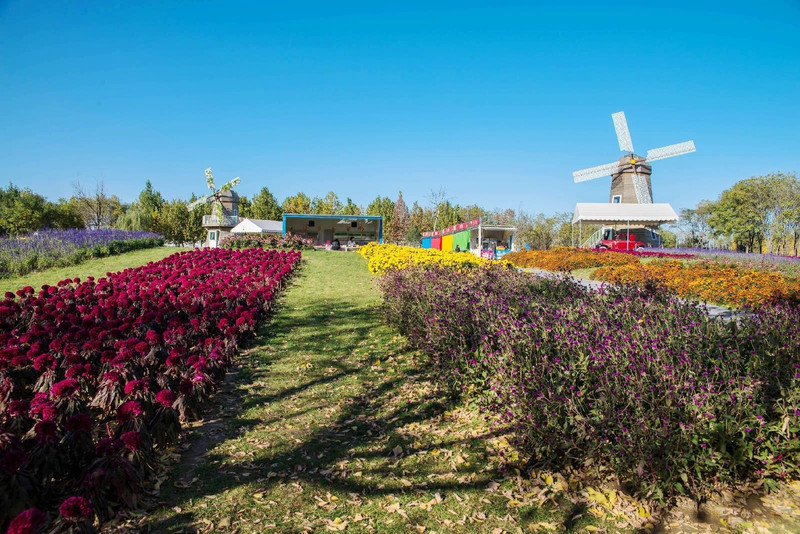 北京国际鲜花港