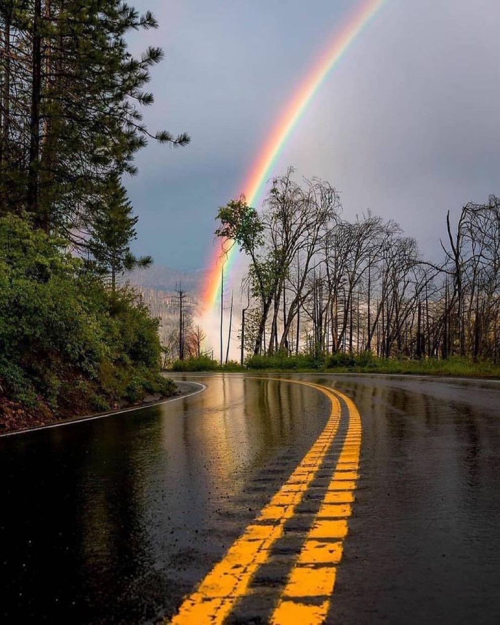 优胜美地国家公园的彩虹🌈