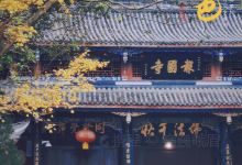 报国寺景点图片