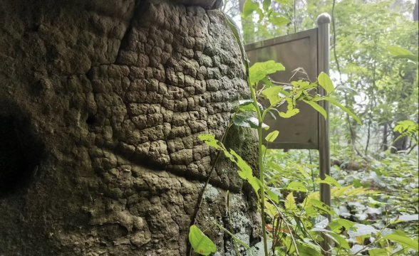 钟大叔桂花烤全羊(江津店)