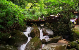 Dangoan