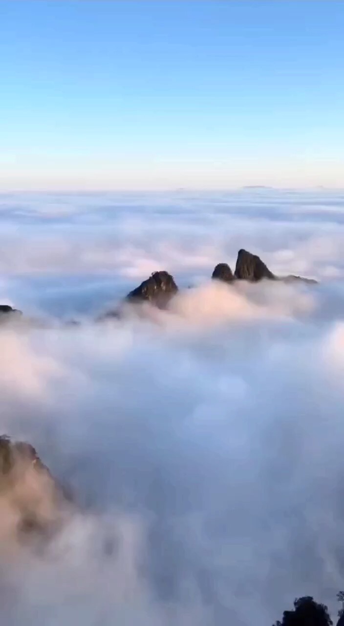 莽山清晨的云雾缭绕