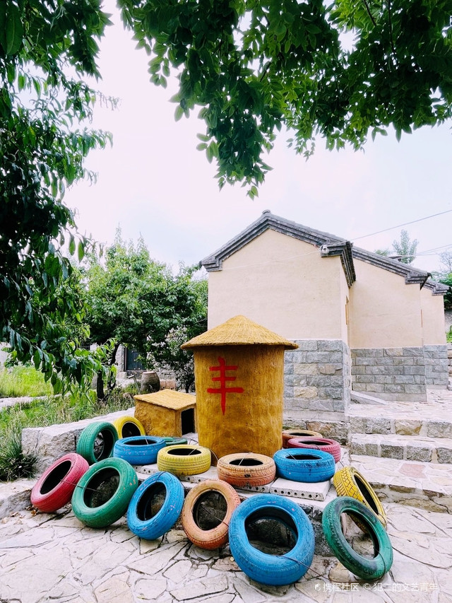 山东济宁丨最美乡村游,打卡桐花秧村.