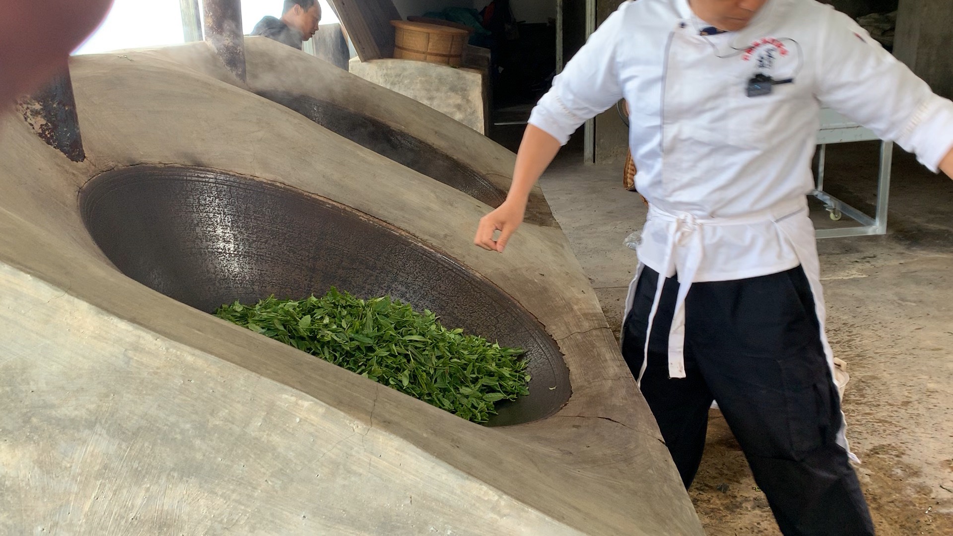 欢迎光临临沧，这里有世界闻名茶后冰岛茶，茶之皇者昔归，山之韵水之魂的邦东雪山古树茶。 #茶行天下