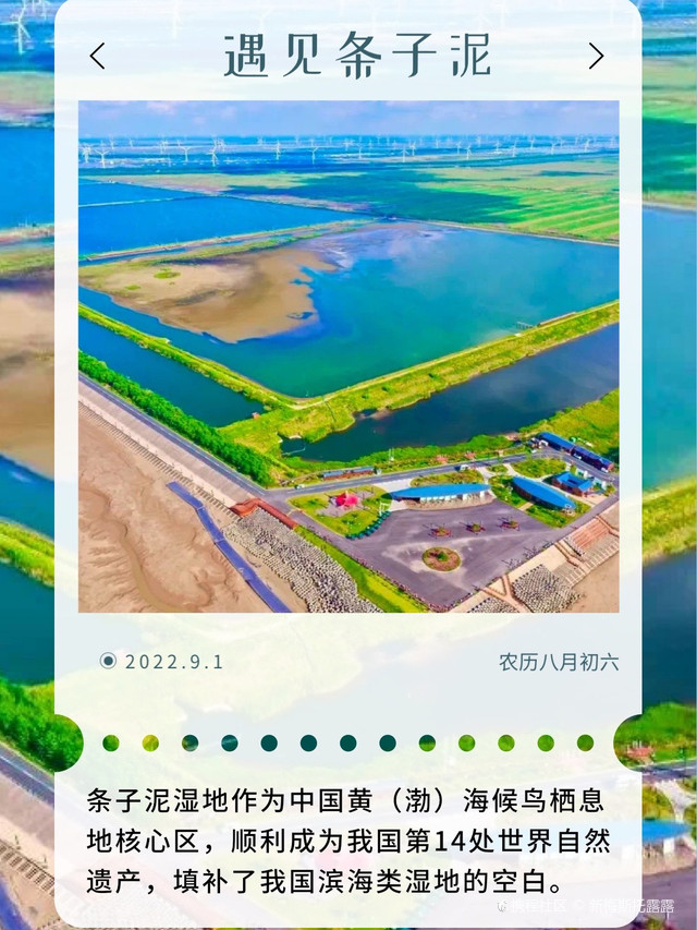 8854人关注了ta 关注 打开携程app,查看高清大图 东台 条子泥景区