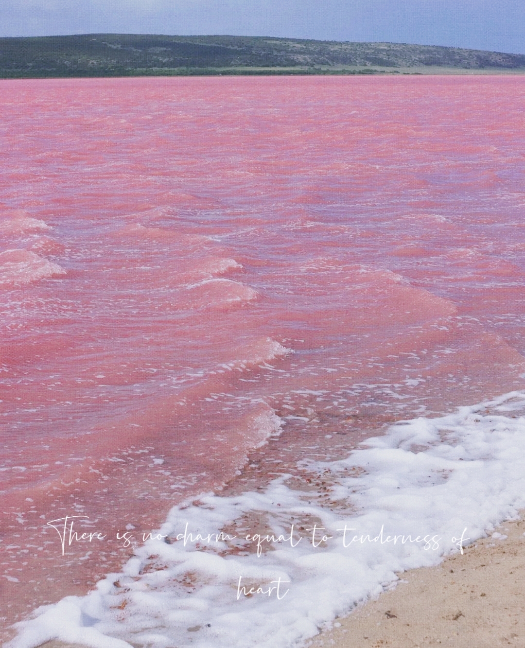 我觉得这是全世界最浪漫的海了叭❓粉色海滩