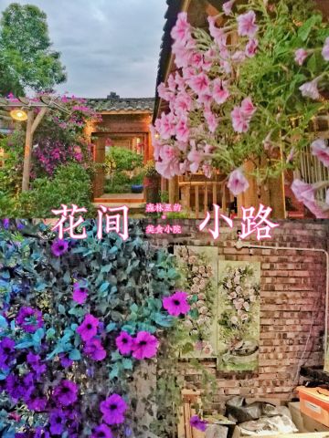 花间小路·茶馆·乡厨