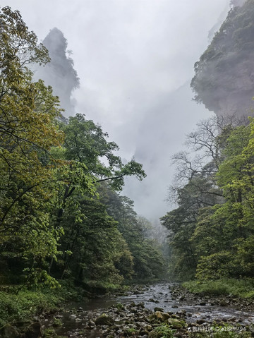 张家界金鞭溪大峡谷