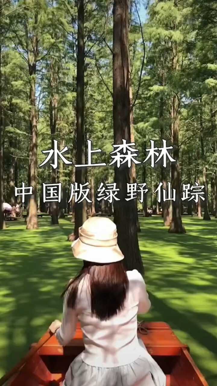 水上森林中国版绿野仙踪