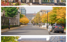 Scranton's Restaurants餐厅图片