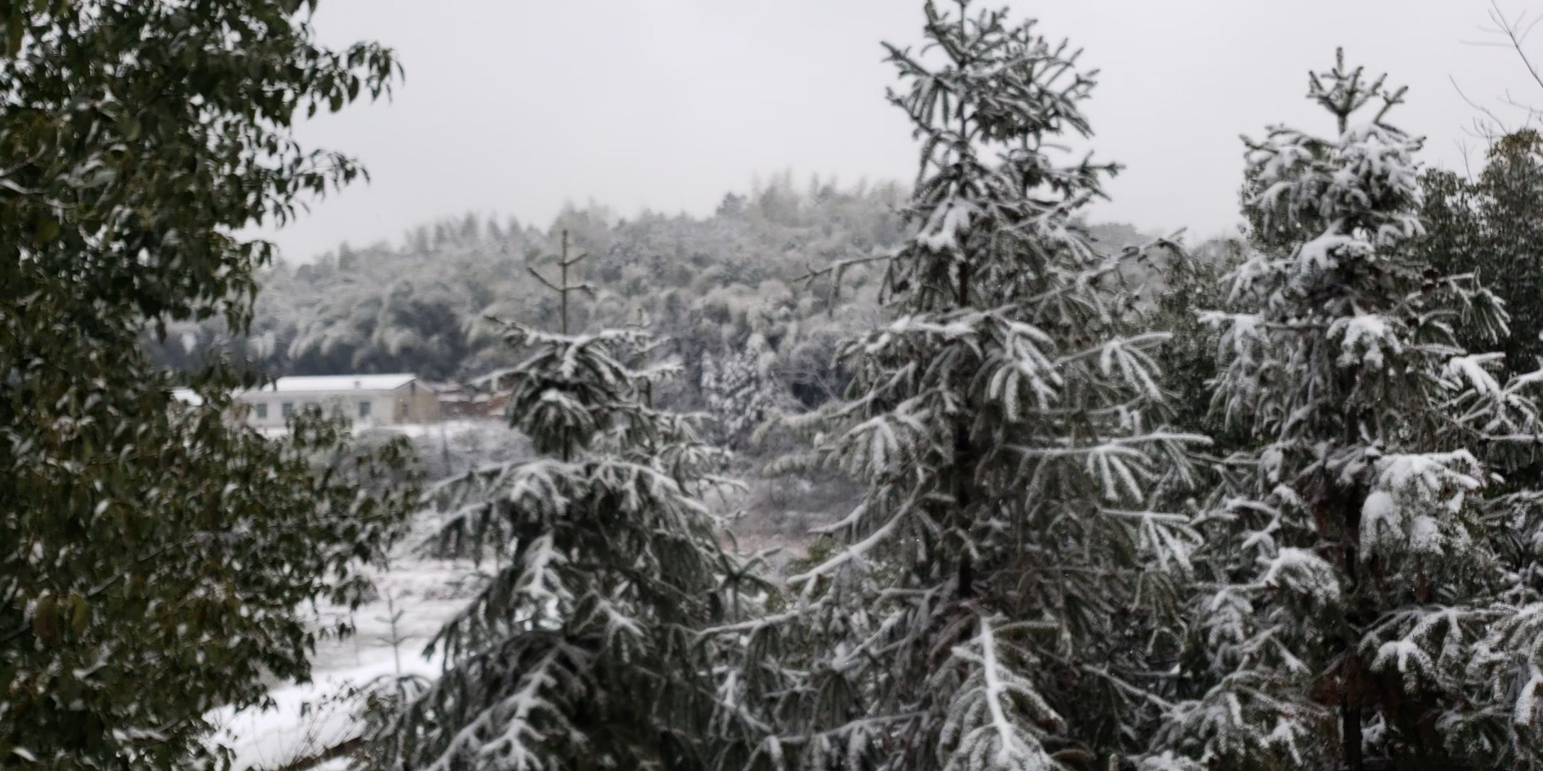 青山不老，为雪白头