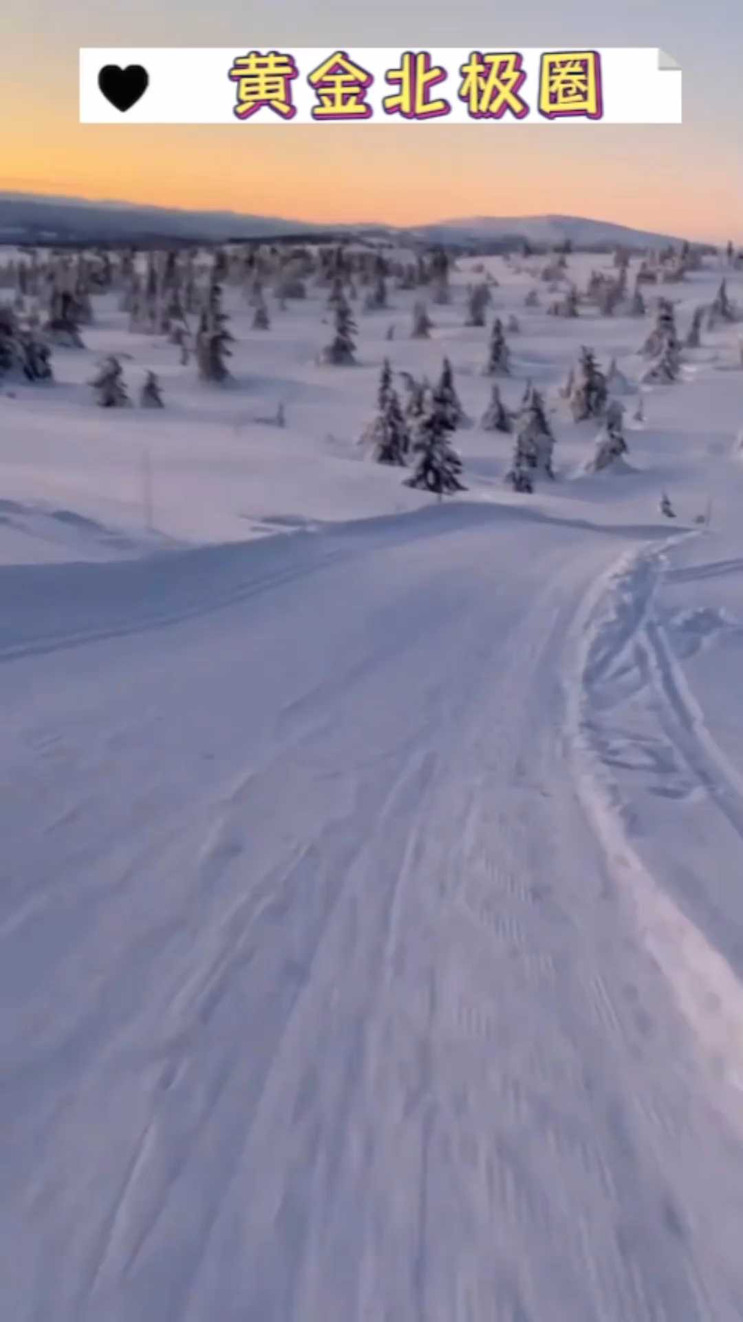 北极滑雪⛷️