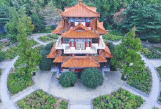 神州牡丹园景点图片