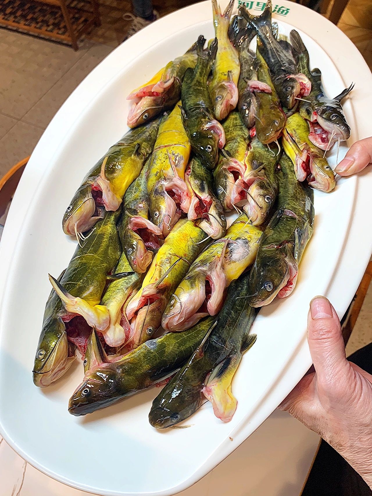 河里渔(阜宁直营店)