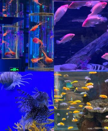 Gallery 3