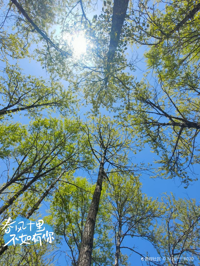 这里的风景美如画