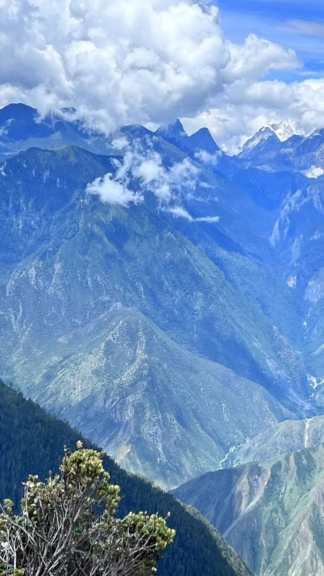 大凉山包谷饭(航天路店)