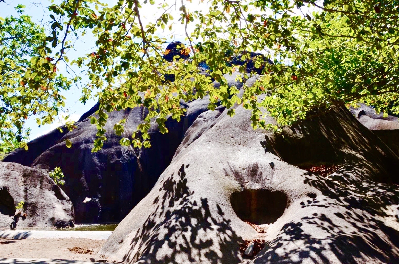 塞舌尔，普拉兰岛的龟山，树叶在上面投下的影子、就像画上去的一样，路遇的一只小狗，一路跟到海边