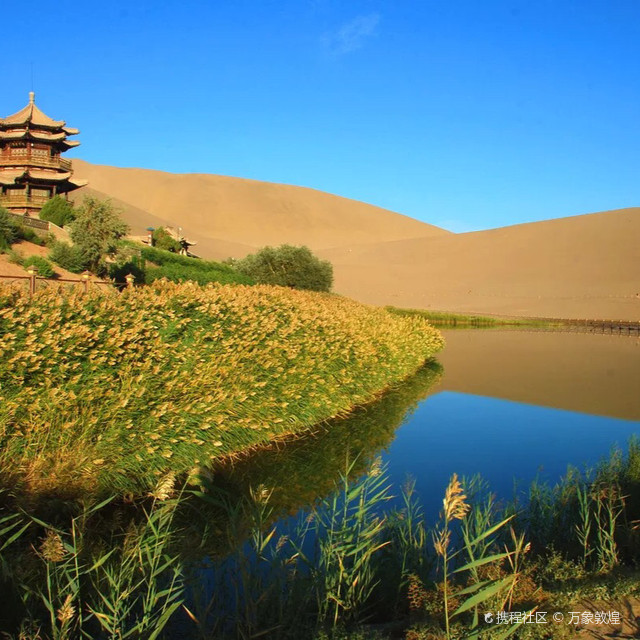 月牙泉三宝(一)——铁背鱼|打卡敦煌鸣沙山月牙泉