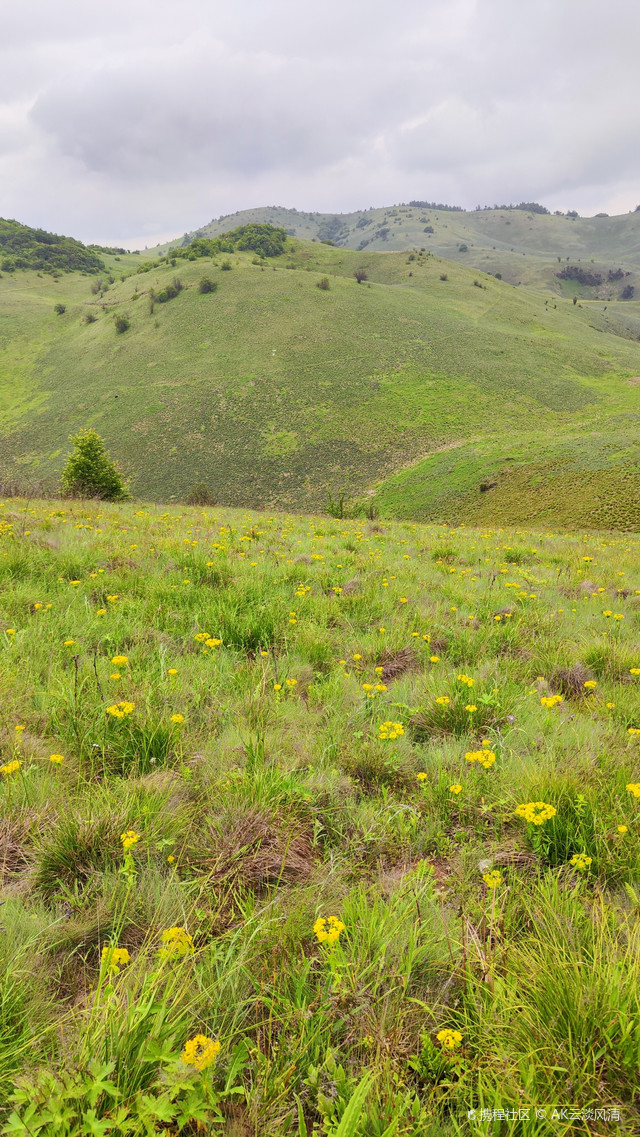 打卡岚皋神河源神田草原