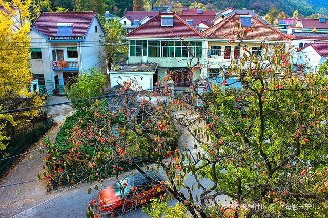 浙江省湖州市长兴县林城镇周吴岕村