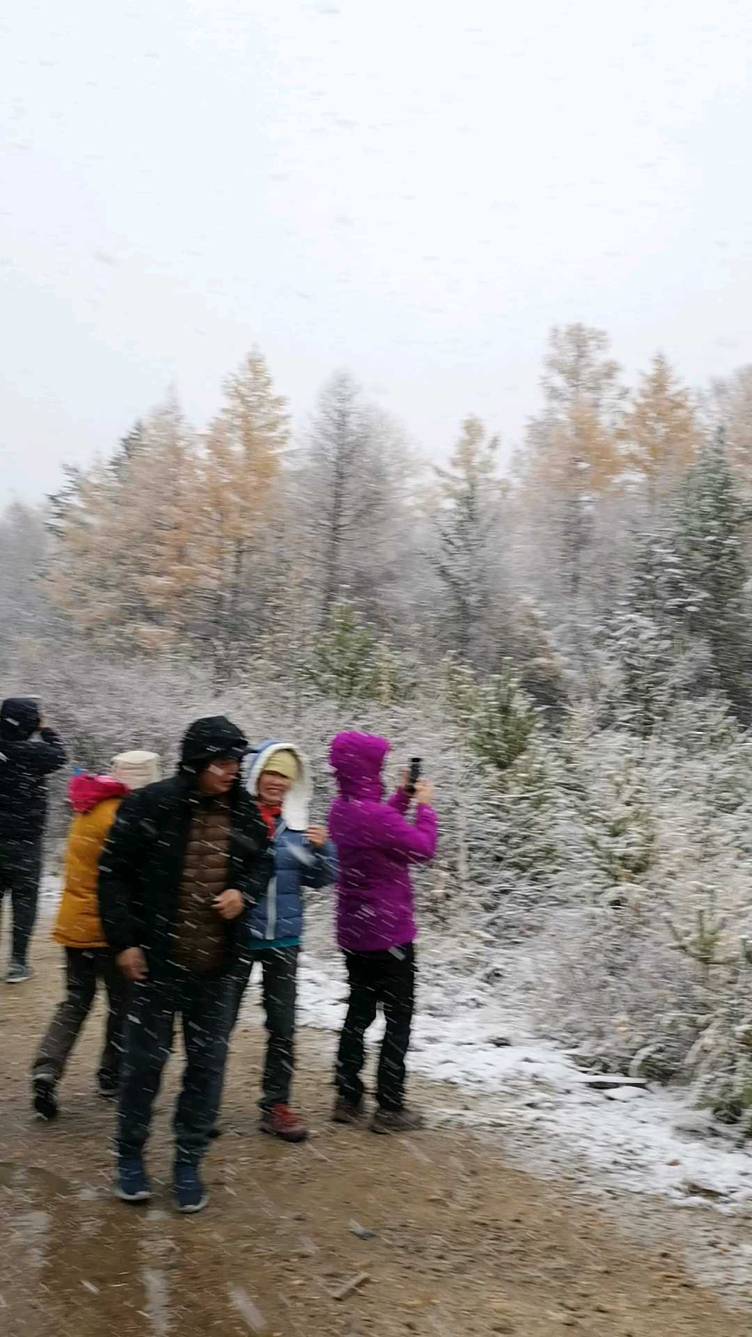 在回程的路上，南方的娃娃们见到下雪了，兴奋都不得了！