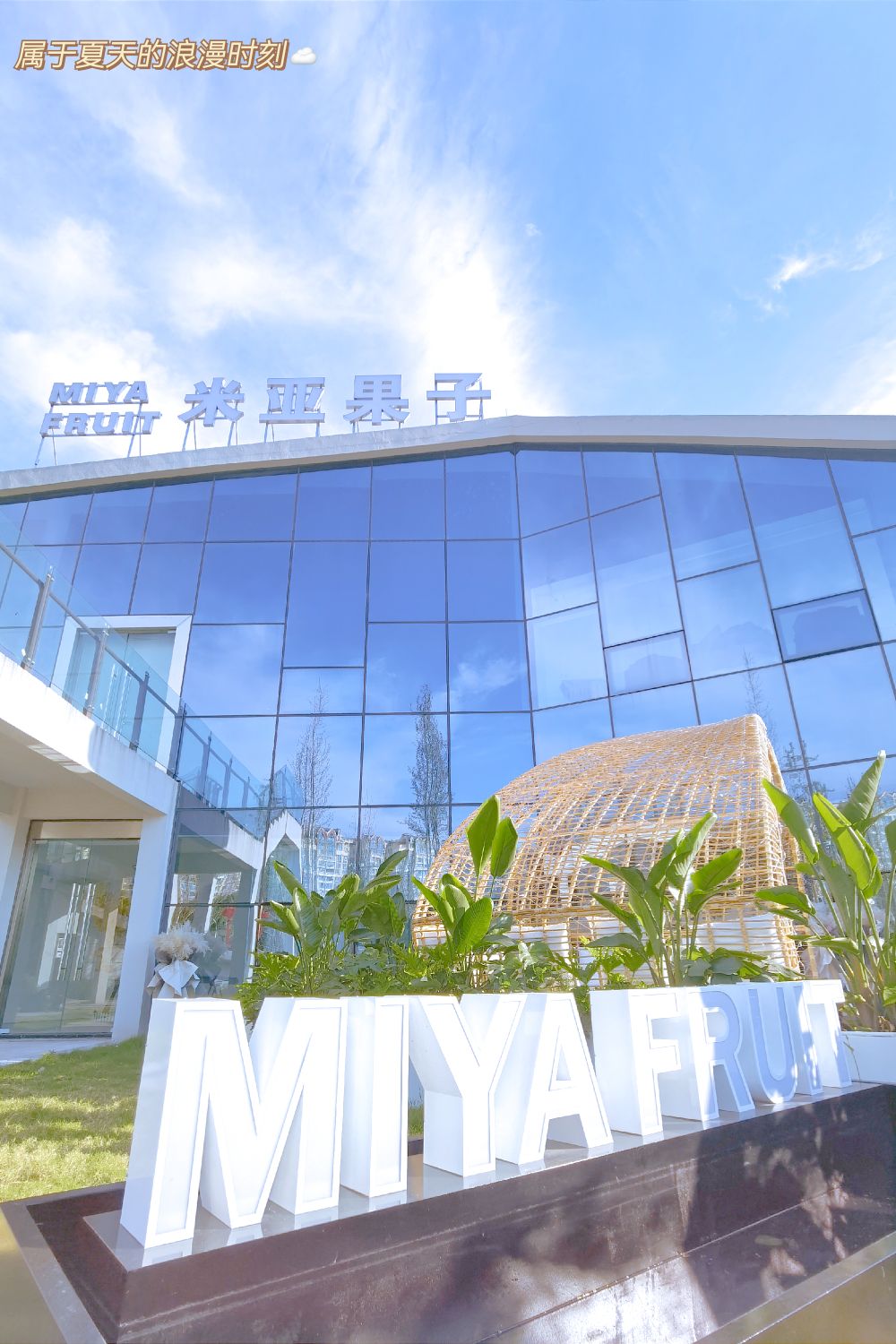 米亚果子 MIYA FRUIT(园艺山店)