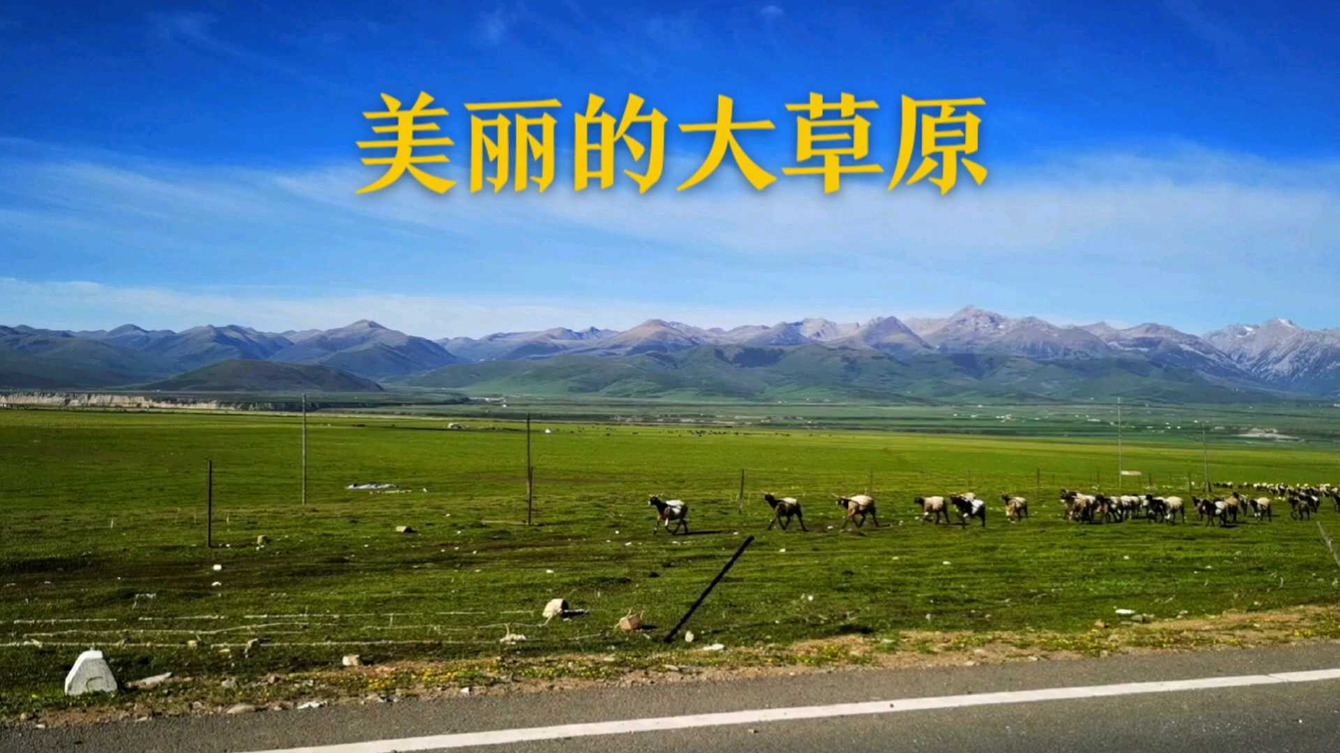 河南蒙古族自治县