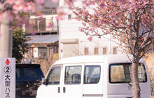 Cafe La MIlles Ichikawa Nikke Colton Plaza餐厅图片