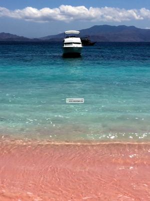 亚洲唯一粉红沙滩可惜很久见不到了。