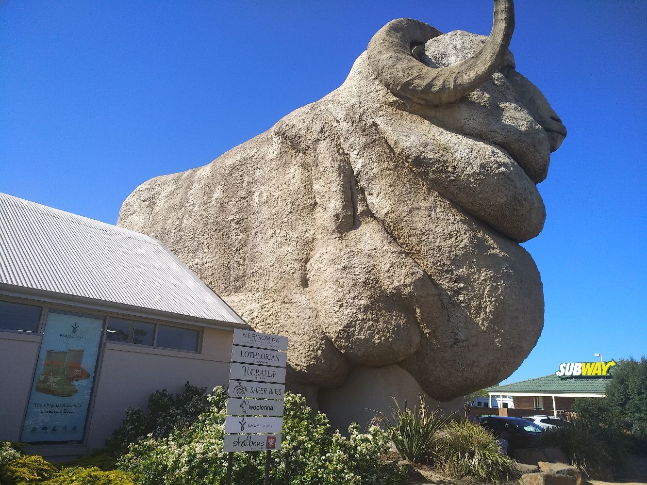 Goulburn是nsw的一个边远小镇 这里标志性的产业就是羊毛。所以这个小镇有一个大大的绵羊雕塑。