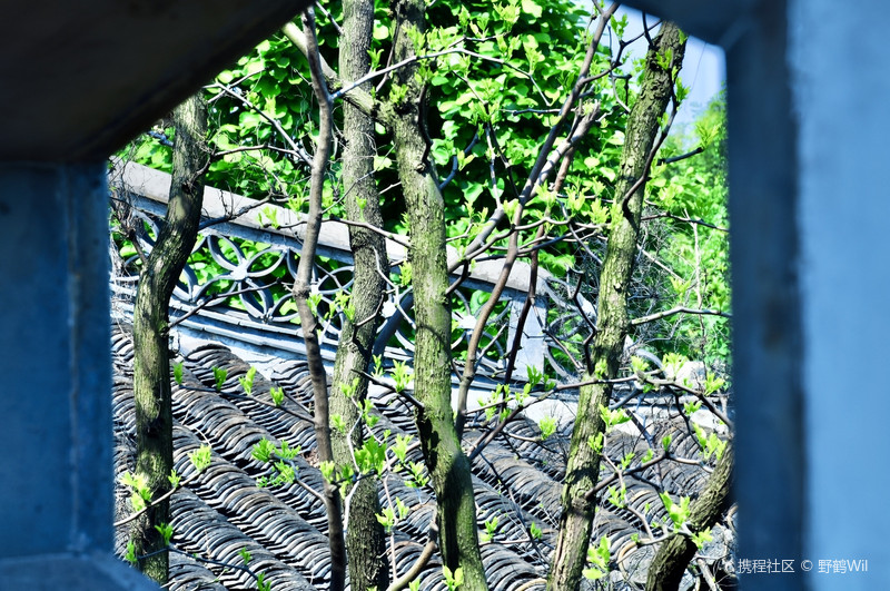 扬州逸圃:闹市街中的袖珍园林