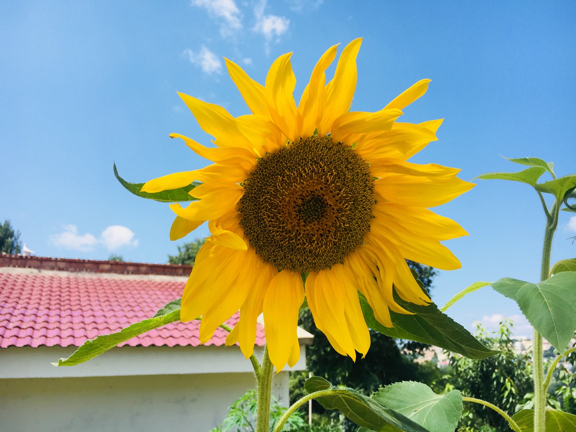 铜川市又多了一个免费郊游踏青的好地方💛