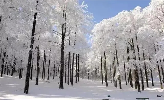 《天目山》看雪海小攻略~winkQAQ