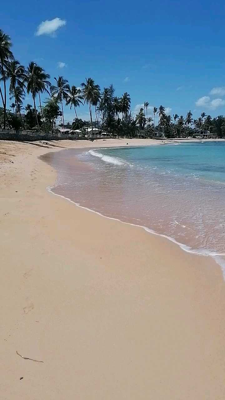 多米尼加的海滩。